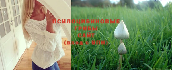 ешки Володарск