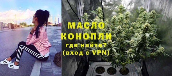 спиды Бородино