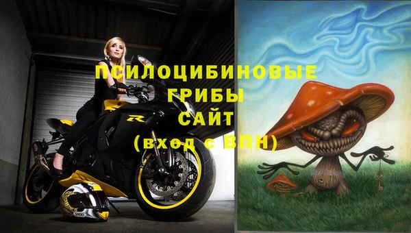 ешки Володарск